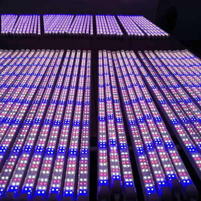 White LED Grow Light 6500K 5000k 460nm 660nm 3FT 4FT T8 LED Tube Lights For Growing Plants
