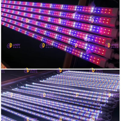 4FT 0.9M 1.2M 12W 18W 25W 36W T8 LED Tube Lights Indoor Vertical Farm 6500K 460nm 660nm