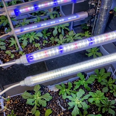 18W 20W 25W 28W 36W LED Grow Light Tubes Waterproof 3ft 4ft T5 T8 Lighting Fixture PVC Body