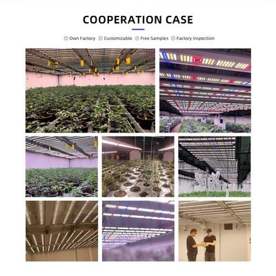 4x6ft 12 Bar 1200W Plant LED Grow Light Fixture , Folding LED Grow Light Full Spectrum