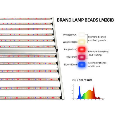 Wholesale 1200W Led Grow Light Fixture Full Spectrum Commercial SAMSUNG LM301H LM281B Led 12 Bar 4x6ft Indoor for Veg Fruit Tomato