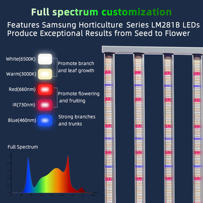 4x6ft 1200w Houseplant Grow Lights Full Spectrum Dimmable LED Grow Light For Veg