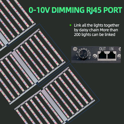 4x6ft 1200w Houseplant Grow Lights Full Spectrum Dimmable LED Grow Light For Veg