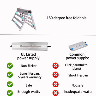 1000W Full Spectrum LED Grow Light 4x6ft  For Greenhouse Hydroponic Plants Cultivation
