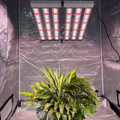 Wholesale Foldable Samsong LM301H EVO LM281B Light Bar Full Spectrum Led Grow Lights 320W for Indoor Grow Tent
