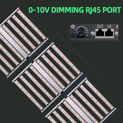 Full Spectrum Hydroponic Plant 800w Led Grow Lighting Bar 1000w Lamps Lm281b Lm301h for Veg Flower