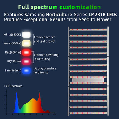 Custom Foldable LED Grow Light 4×8ft Commercial Greenhouse Grow Lights 1500W