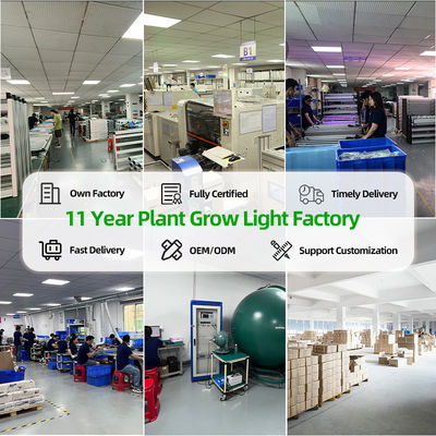 Full Spectrum UV 900W LED Grow Light Commercial Vertical Farming LED Grow Lights