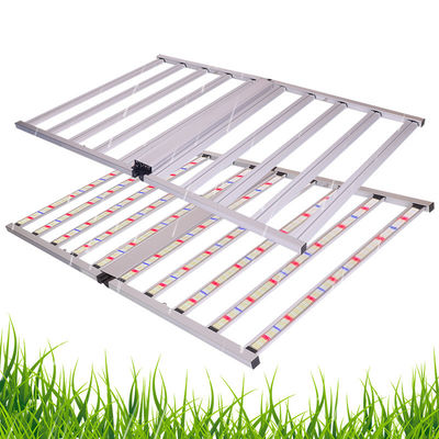 Full Spectrum 1000W LED Plant Grow Lights Custom Commercial Horticulture Indoor Hydroponic Samsong Lm301h Lm281b Evo Dimmable