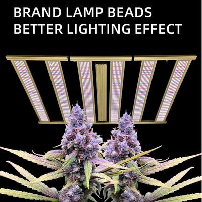 1200 Watt LED Grow Light Full Spectrum Medical Dimmable Plant Grow Light Samsung LM301H LM281B