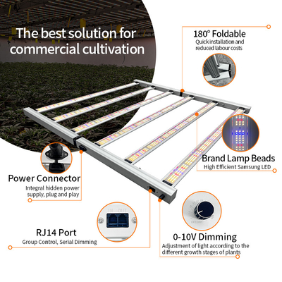 5x5ft Core Coverage LM301H EVO LM281B Full Spectrum 4x4ft LED Grow Lights 720W for Indoor Plants