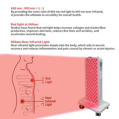 Shenzhen 120 LEDs 660nm 850nm Infrared Light Therapy Panels Small Pdt Machine Face Body 600W LED Red Light Therapy