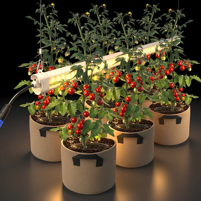 Samsung LED 60W 3500K Under Canopy Grow Light IP65