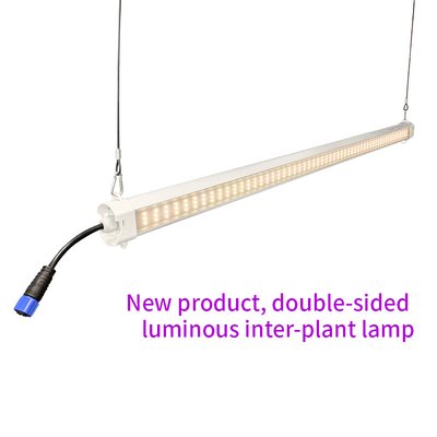 60W Samsung LED Under Canopy Grow Light 3500K IP65