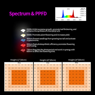 650W Full Spectrum Foldable LED Grow Light with 1950 μmol/s PPF and 3.0 μmol/J PPE for Veg Bloom