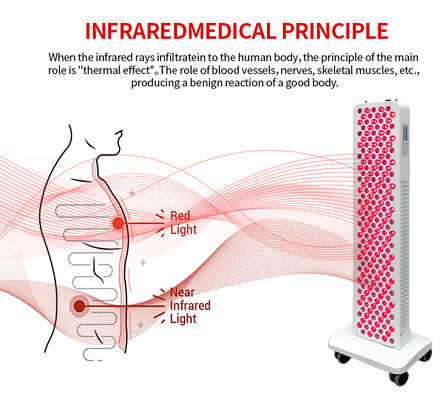 Whole Body Red Light Therapy Device Full Body