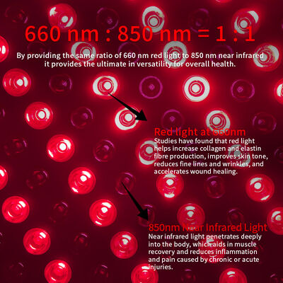 Whole Body Red Light Therapy Panel 1500w