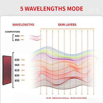 6000W LED Red Light Therapy Panel for Gym Spa