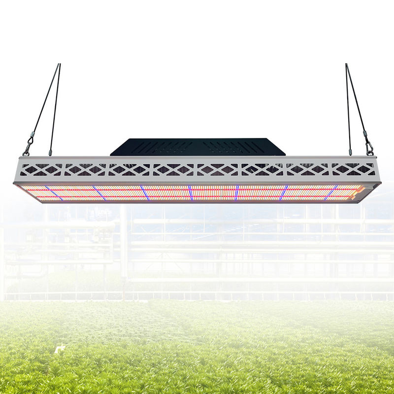 Module Top LED Grow Lights 640W Full Spectrum LED Grow Lamp For Indoor Plants