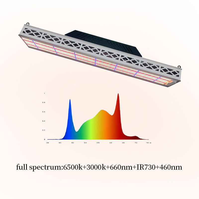 Module Top LED Grow Lights 640W Full Spectrum LED Grow Lamp For Indoor Plants