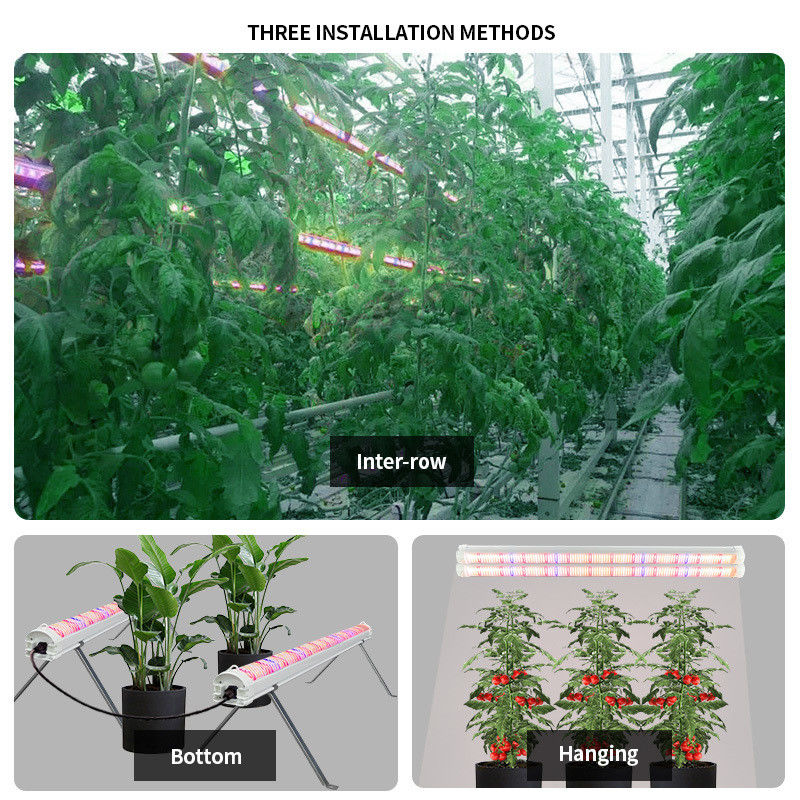 Adjustable Spectrum LED Grow Lights 4ft 100W 120W 150 Watt Full Spectrum LED Grow Light