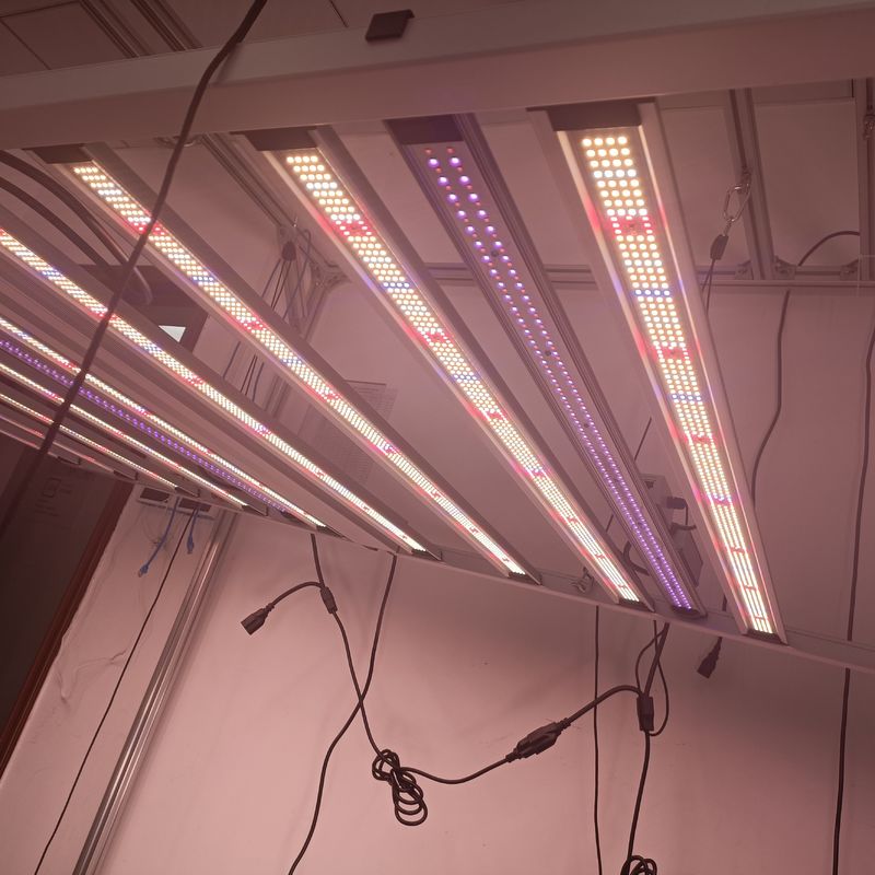 Dimmable UV IR Deep Red LED Grow Lights 50W 100W LED Supplemental Greenhouse Lighting