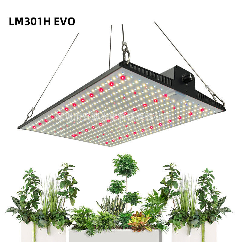 Full Spectrum Indoor Plant Grow Light 2x2ft 3x3ft LED Grow Light