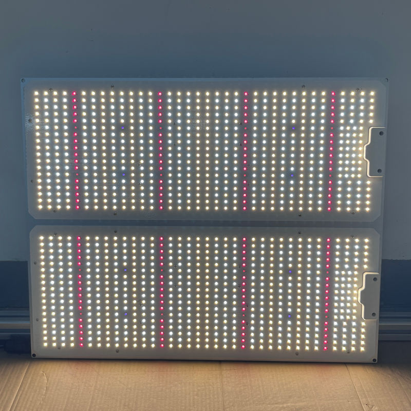 400W Cultivation LED Light Full Spectrum LED Grow Lamps For Indoor Plants