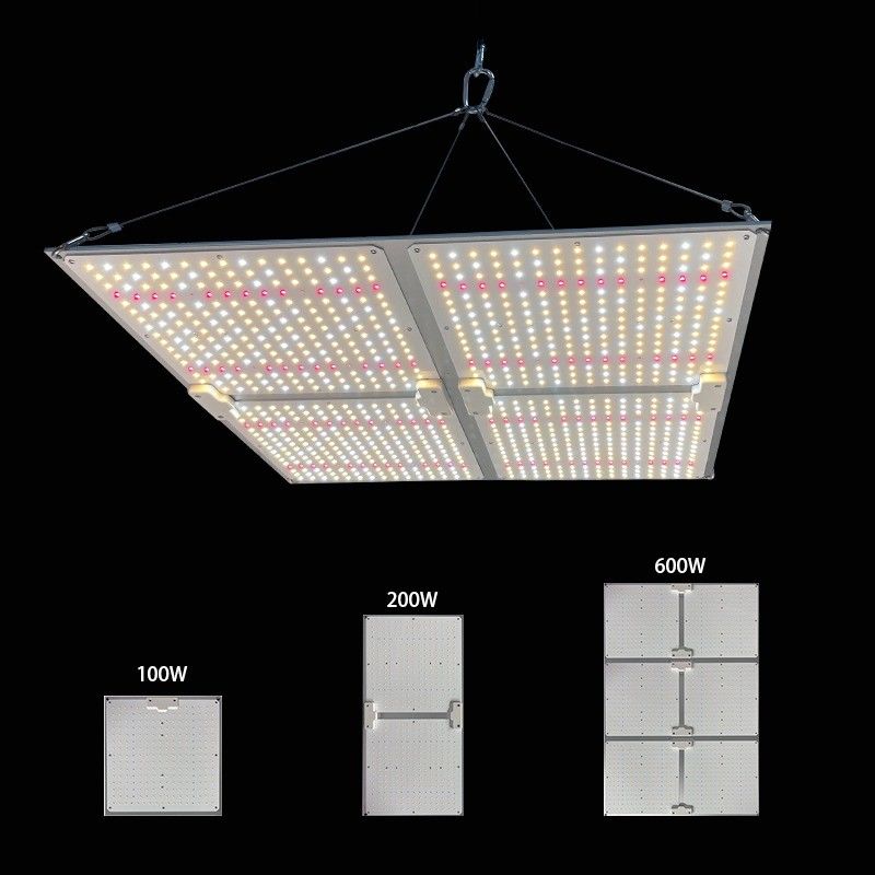Full Spectrum Light Panel 2x2 2x4ft Board 400W 300W 200W 100W Indoor Plant LED Grow Light