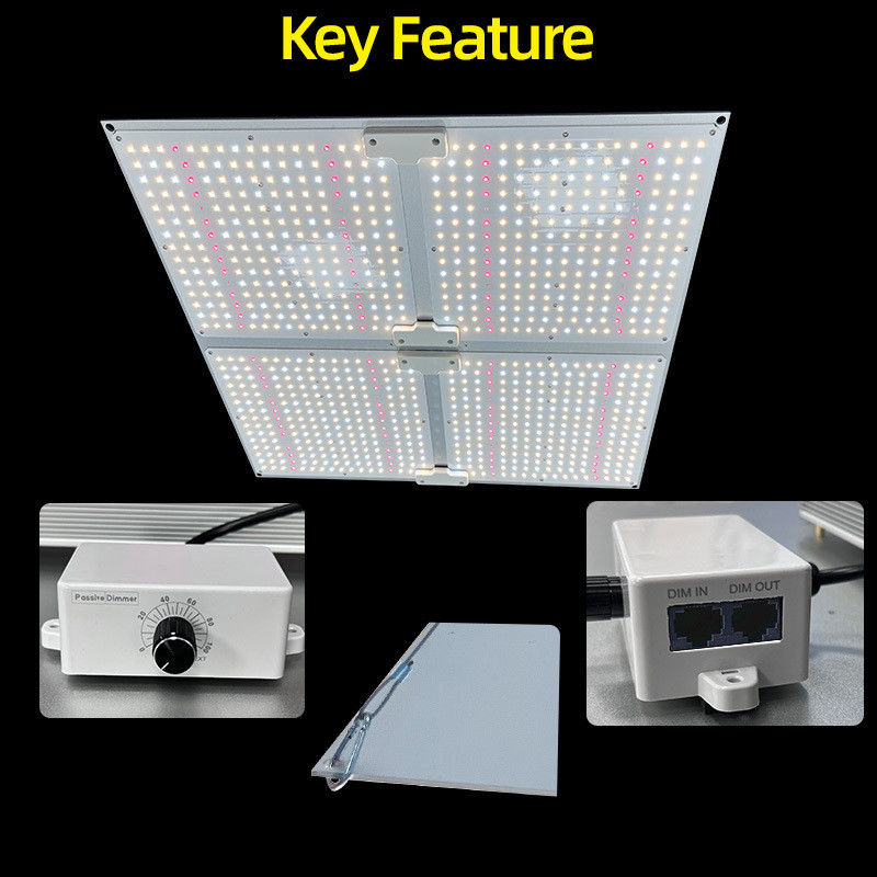High PPFD Grow Lights 100W 200W 400W 600W Full Spectrum LED Light Panel For Plant Growth