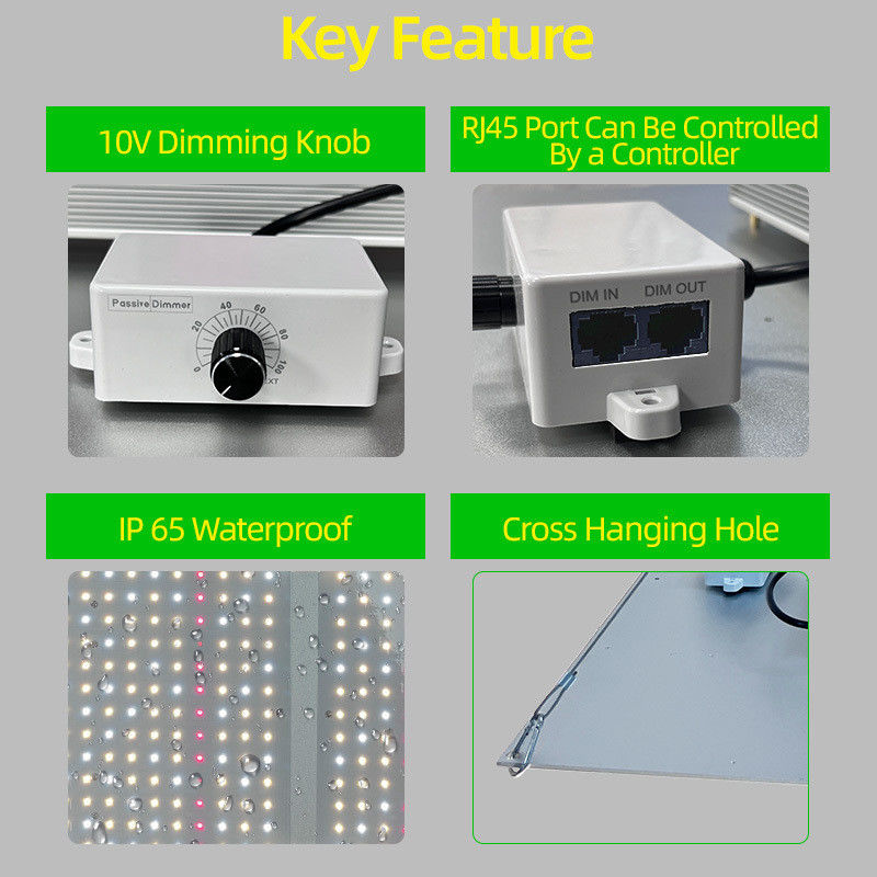 100W 200W 400W Full Spectrum LED Grow Light Board Dimmable Plant Growth Light