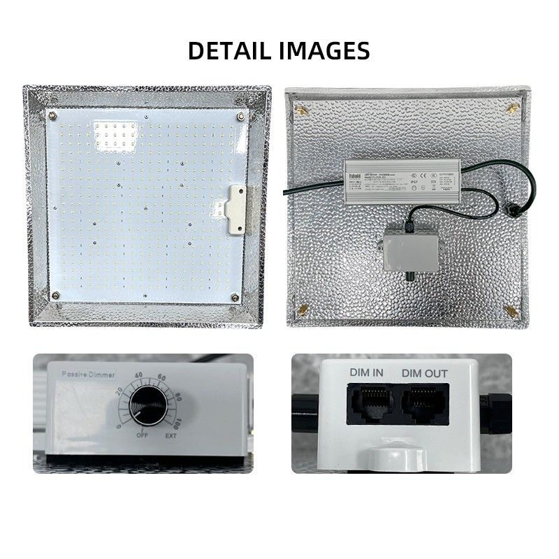 ANDY Quantum Board Grow Light 100W 150W 300w Full Spectrum LED Grow Light