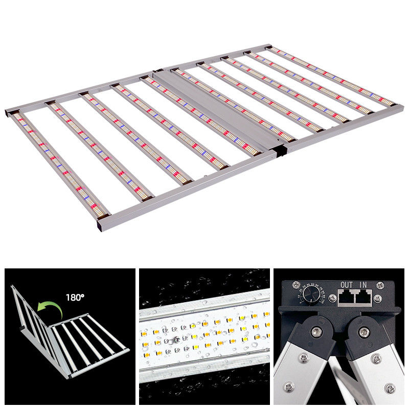 Commercial High Power LED Grow Light 1000W 4x6ft 10 Bar Full Spectrum Lights For Plants