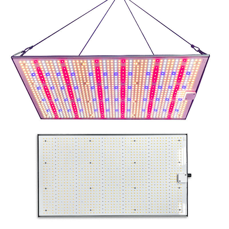 IP65 Quantum Board Grow Light Dimmable Full Spectrum Light Panel With Daisy Chain