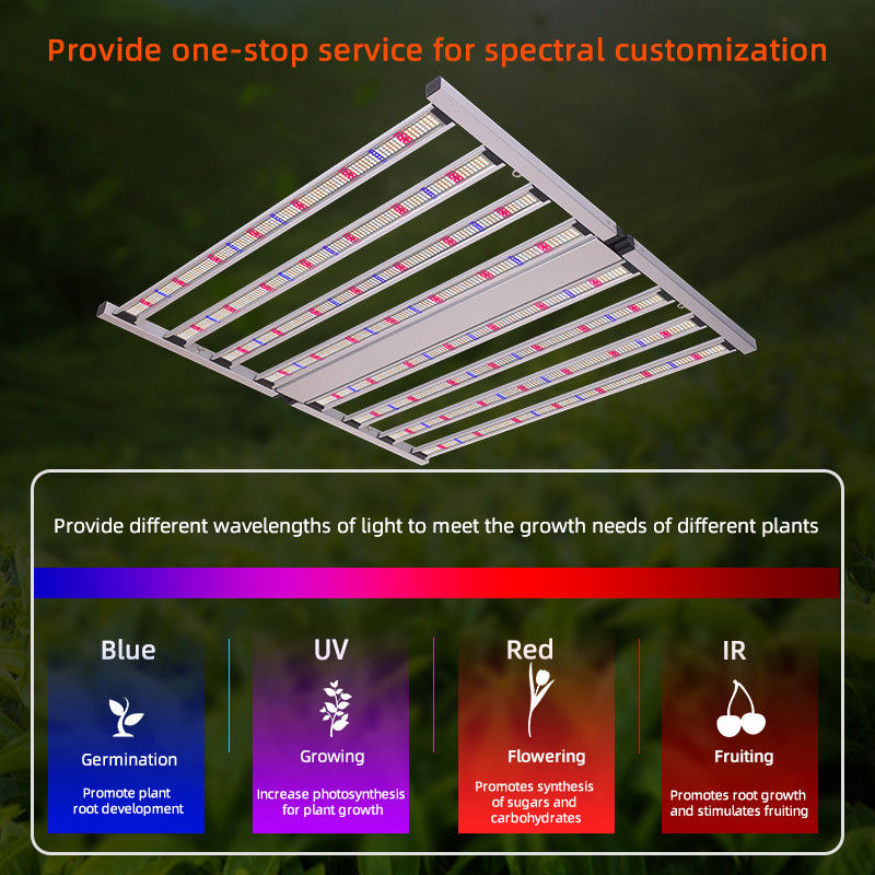 ANDY 4x4ft 800W Full Spectrum LED Grow Light Hydroponic Veg Flower Stages Plant Lighting Strip with SAMSUNG LM301H EVO LM281B
