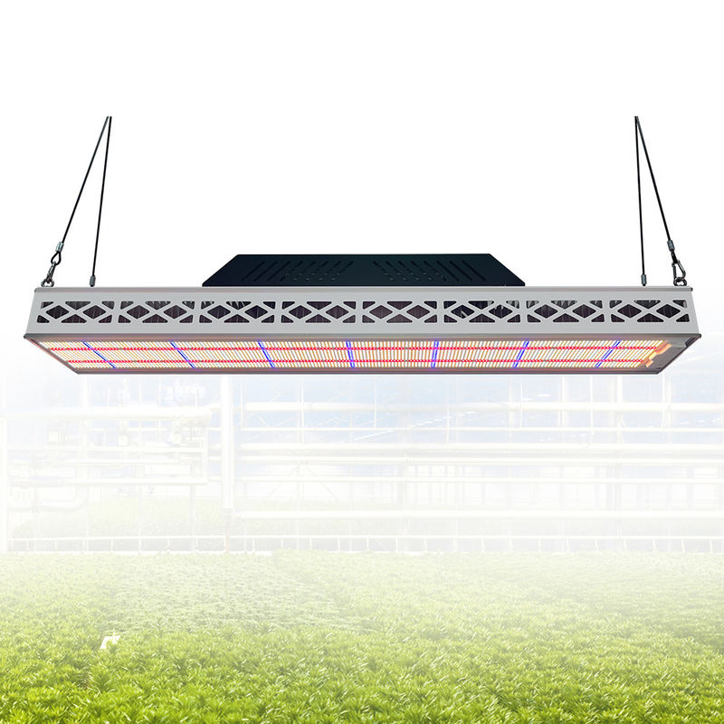 Soccer Field Sports Top LED Grow Lights Customized 640W LED Grow Light Waterproof IP67