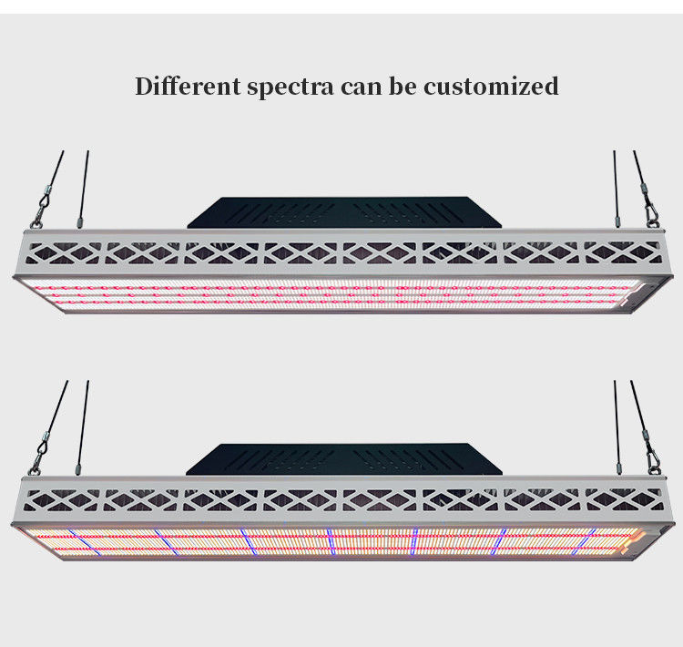High PPFD LED Grow Light Full Specrum 640W Linear LED Grow Light