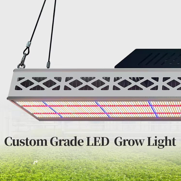 640W Top LED Grow Lights Full Spectrum Plant Growth Lamp For Greenhouse Seedling Flowering