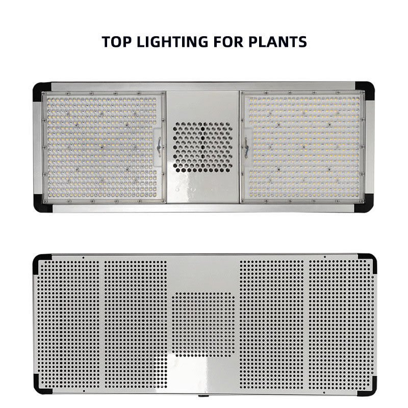 Dimmable Top LED Grow Lights Full Spectrum 800 Watt LED Grow Light