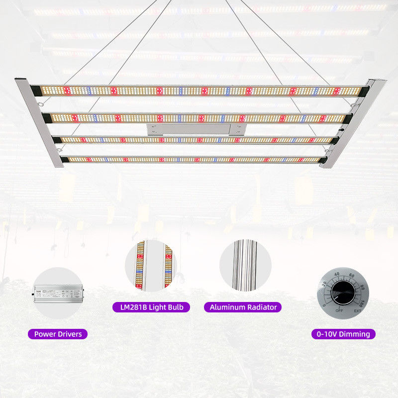 Full Spectrum 400W LED Grow Lighting Wholesale High PPFD Indoor Grow Light Bar Style Samsung Lm301h Evo for Hydroponics