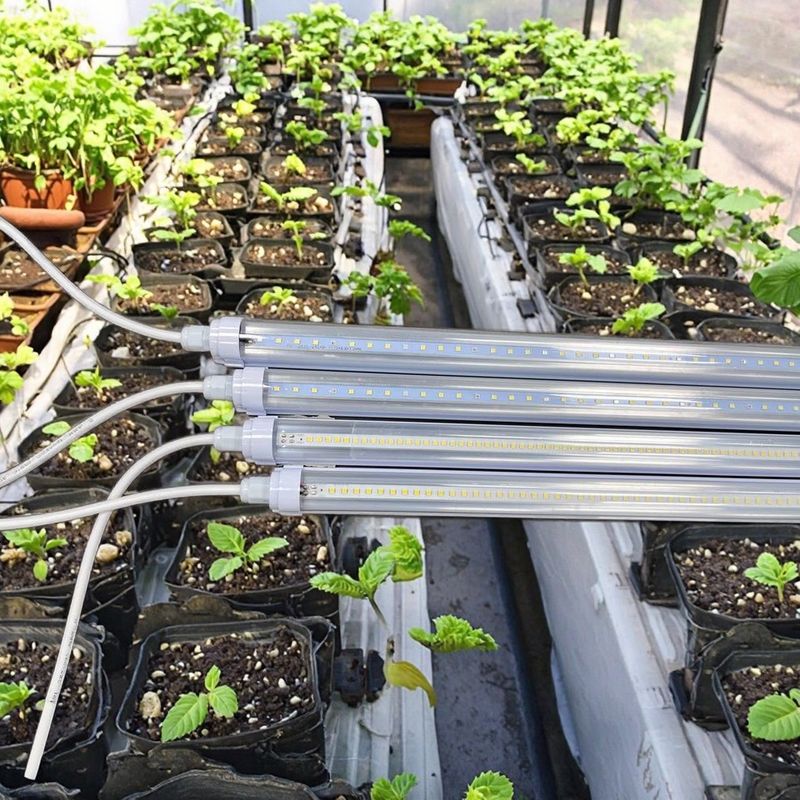 Vertical Greenhouse Farming LED Grow Light Tubes 220V T8 T10 T12 4FT 18W 25W 36W 48W For Veg Bloom
