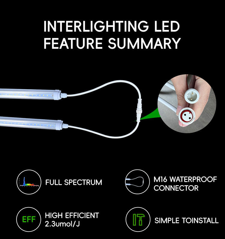 Vertical Greenhouse Farming LED Grow Light Tubes 220V T8 T10 T12 4FT 18W 25W 36W 48W For Veg Bloom