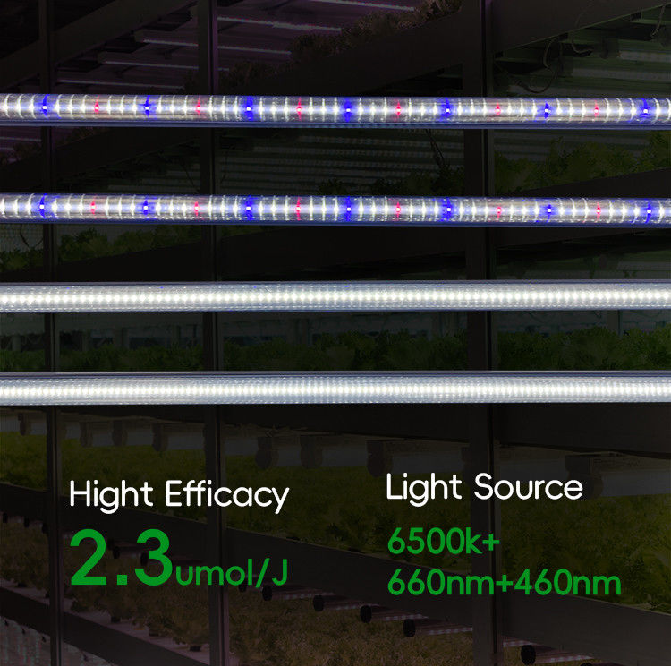 Vertical Greenhouse Farming LED Grow Light Tubes 220V T8 T10 T12 4FT 18W 25W 36W 48W For Veg Bloom
