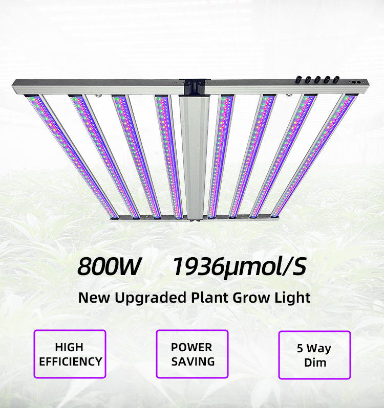 Five-way Dim Samsung LM301H Plant Lighting Full Spectrum 8 Bar 800W LED Grow Lights for Horticultural
