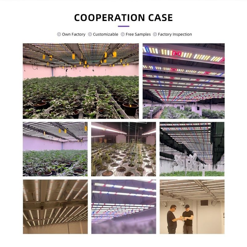 4x6ft 12 Bar 1200W Plant LED Grow Light Fixture , Folding LED Grow Light Full Spectrum