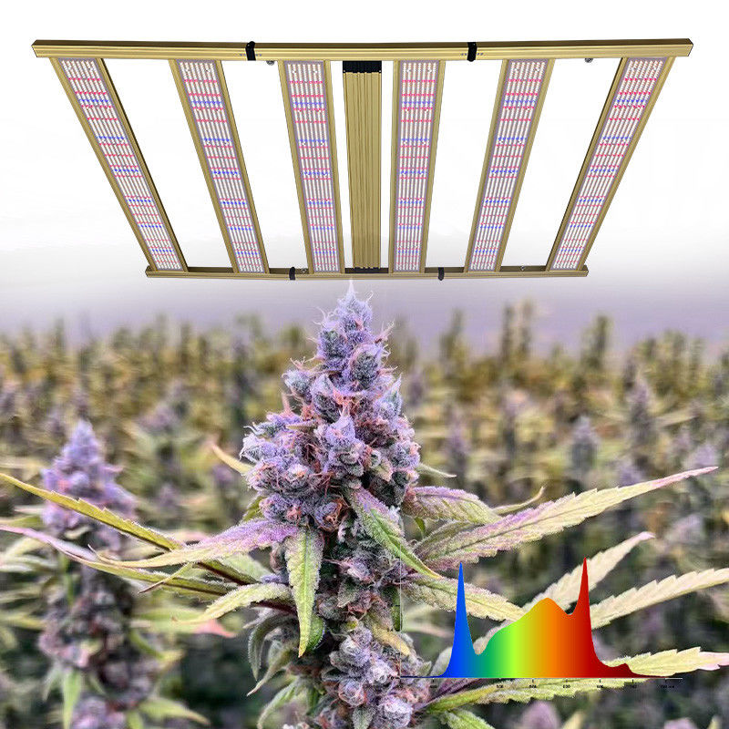 Commercial Greenhouse LED Grow Lights 1200W Full Spectrum Grow Lights For Indoor Plants
