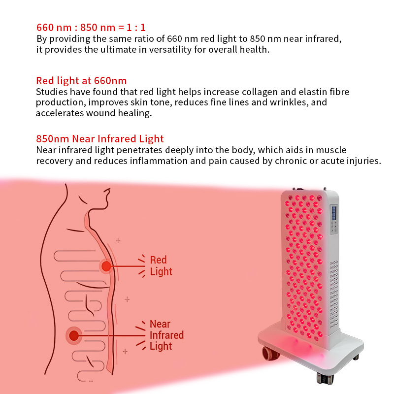 Shenzhen 120 LEDs 660nm 850nm Infrared Light Therapy Panels Small Pdt Machine Face Body 600W LED Red Light Therapy