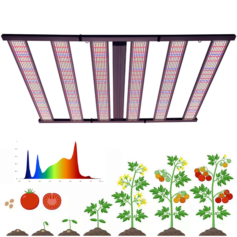 Wide Version 1500w LED Grow Light Full Spectrum For Indoor Grow Rooms / Greenhouses