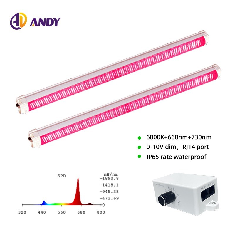 Dimmable LM301H EVO LM281B 730nm 660nm Red LED Grow Light 4Ft 120W 150W