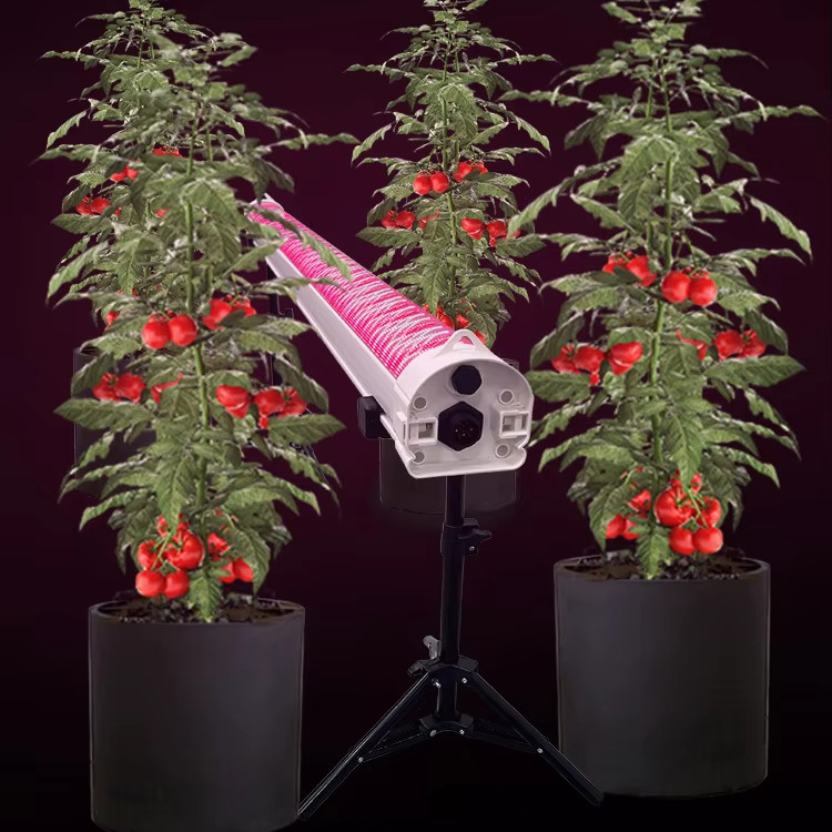 5-Year Warranty Customizable Dimmable Hydroponic Rack Deep Red Full Spectrum 4ft 120W/150W Under Canopy LED Grow Light for Bloom